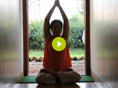 Yoga Classes